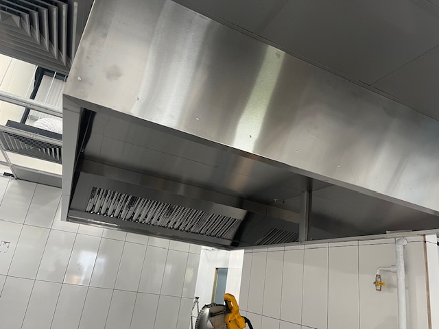 dominos kitchen canopy